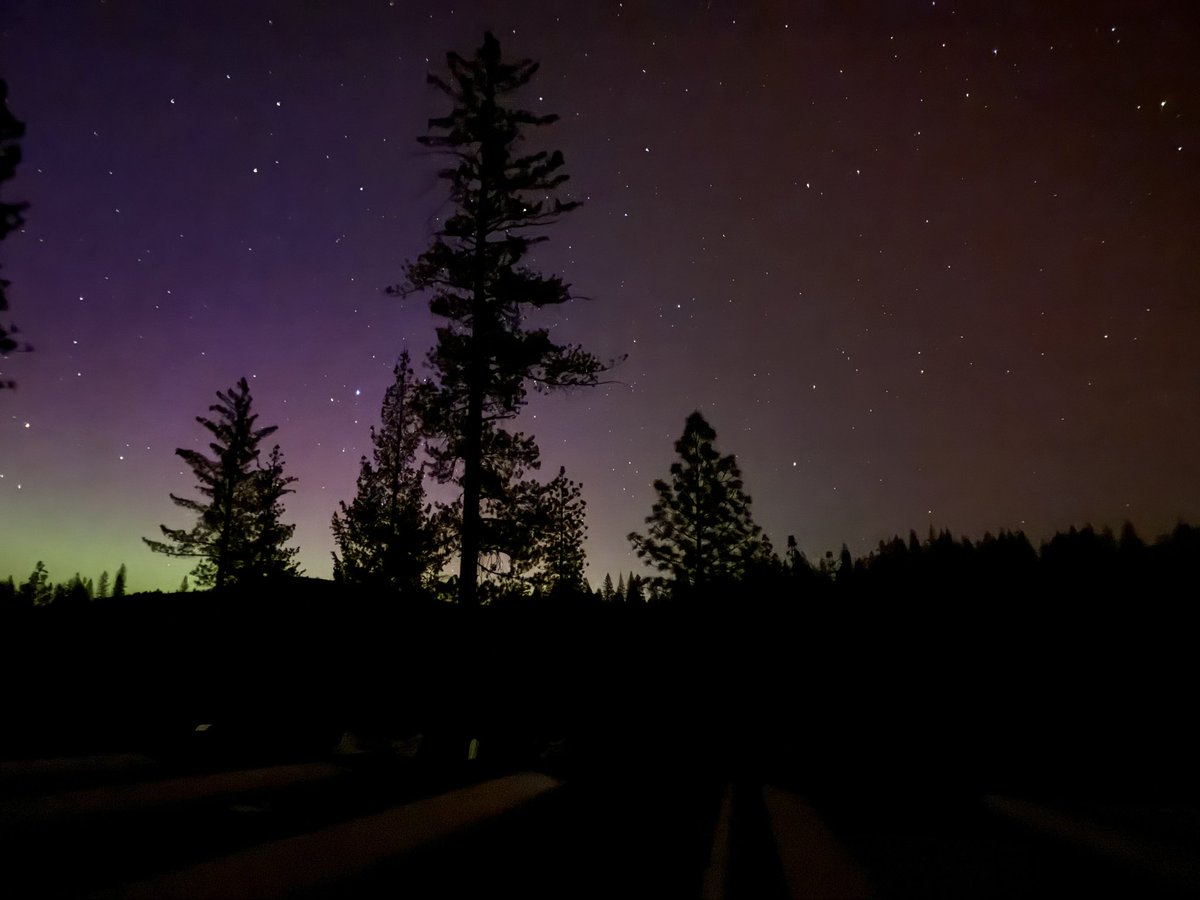 robwormald tweet media