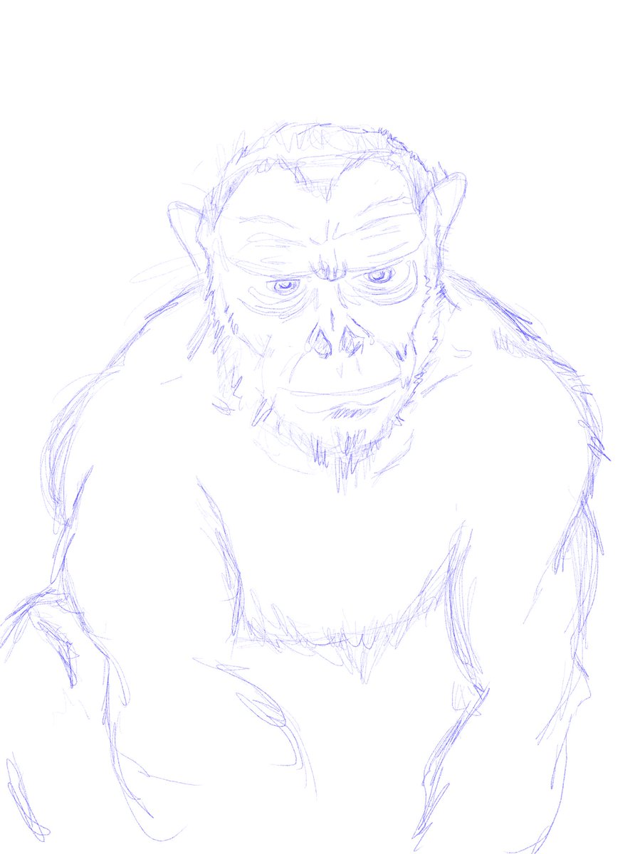 DonCheddar (@cheddardoodles) on Twitter photo 