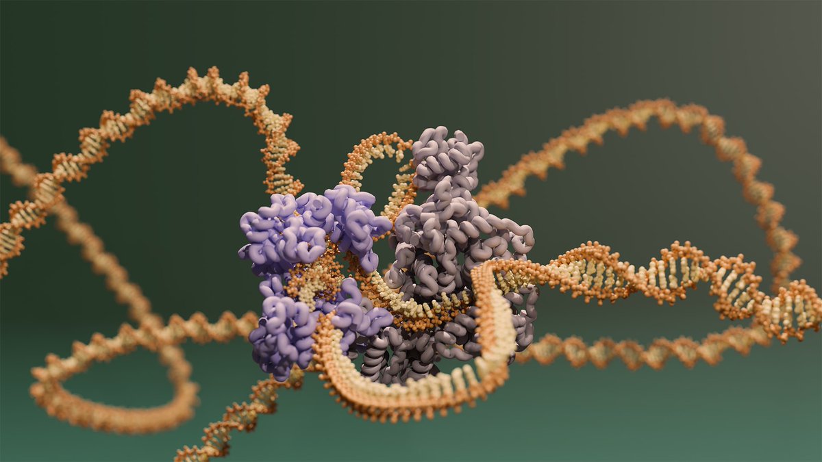 Excited to share a new pre-print from my post-doctoral work in the @MartinJinek lab at @UZH_Science together with the lab of @Mblokesch at @EPFL_en. We describe the molecular mechanism of plasmid elimination by DdmDE defense system. A long 🧵 tinyurl.com/58nv4k96