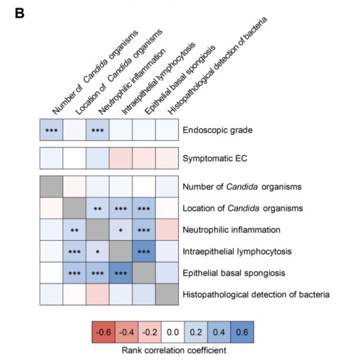 Takahiro Matsuo (Taka), MD tweet media