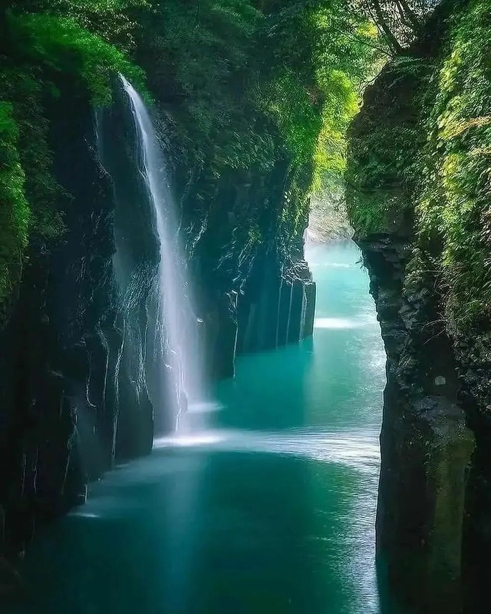 Waterfall In New Zealand 🇳🇿