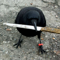 TheFamJulz's tweet photo. @Tutushik5 crow with knife https://t.co/V2RjHw7TK8