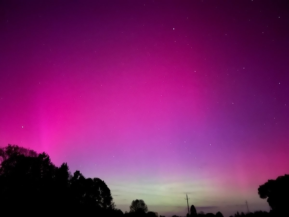 Maike Bauer tweet media