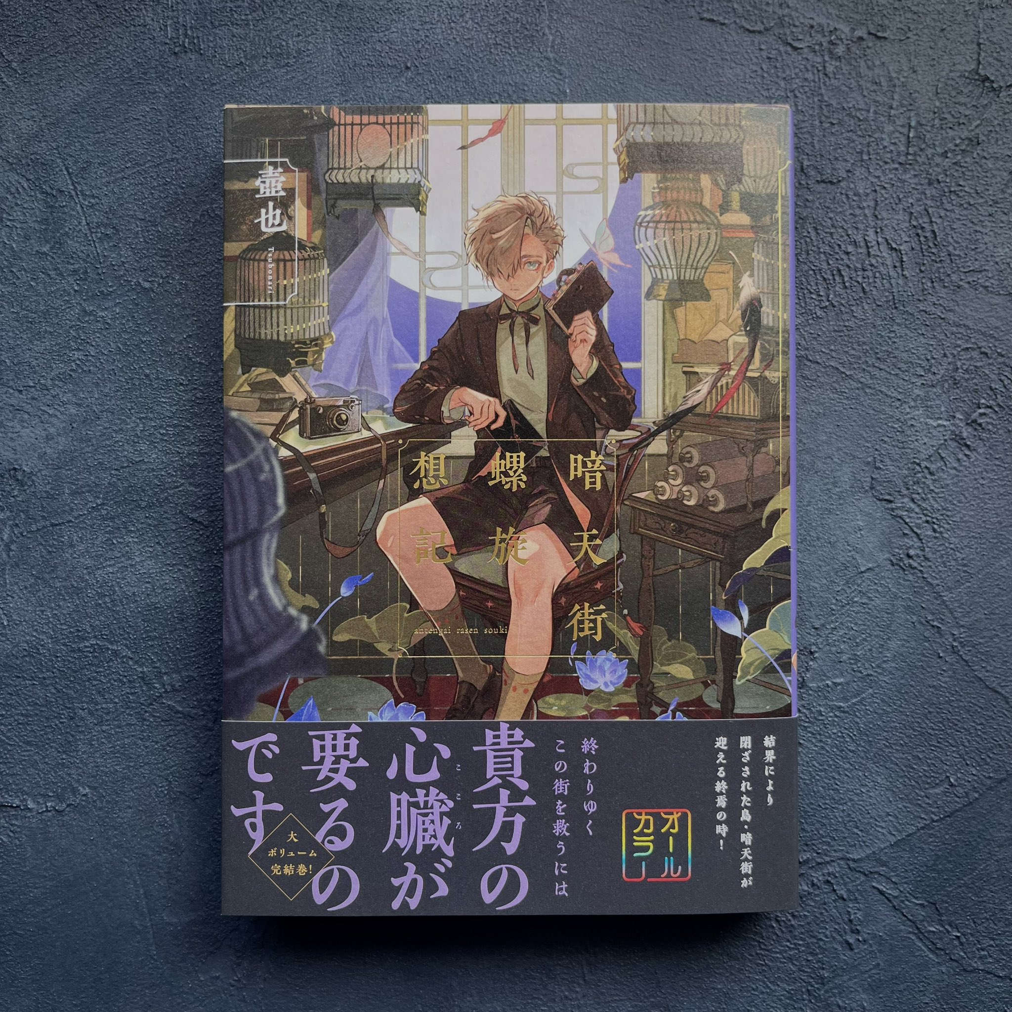 Highlights by 壺也✦『暗天街螺旋想記』発売中✦ (@tsubonari_8