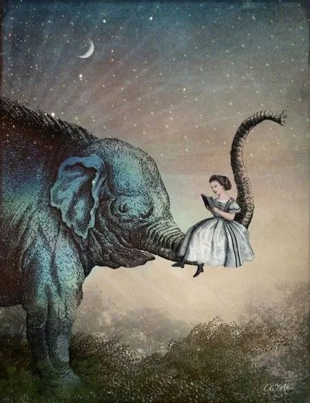 To write you have to have #stories you want to tell, you have to keep your mind alive, and work hard.
TRACY KIDDER
#amwriting