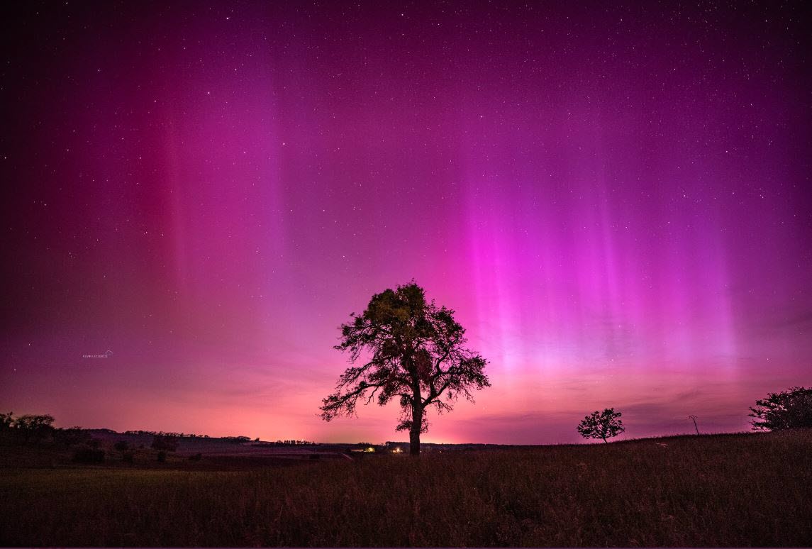 lestrepublicain's tweet photo. 😍📸 Des  aurores boréales d'une intensité exceptionnelle étaient visibles en Lorraine et Franche-Comté dans la nuit de vendredi à samedi
➡️ https://t.co/2sRZSlawZI  

Photo Kévin Leclerq https://t.co/5YcvDFQY0Z