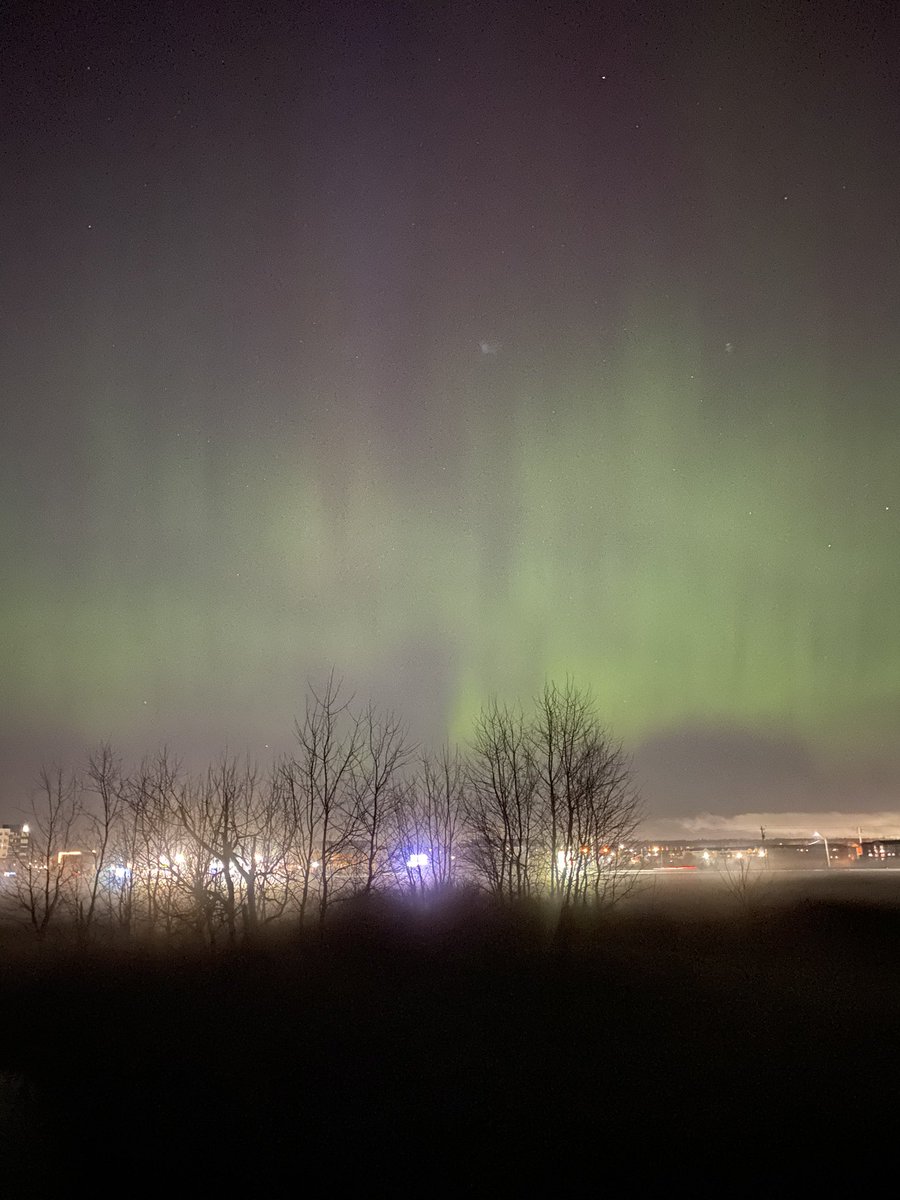 freesl's tweet image. No tengo palabras, mi alma está partida y este momento fue un respiro de esperanza.