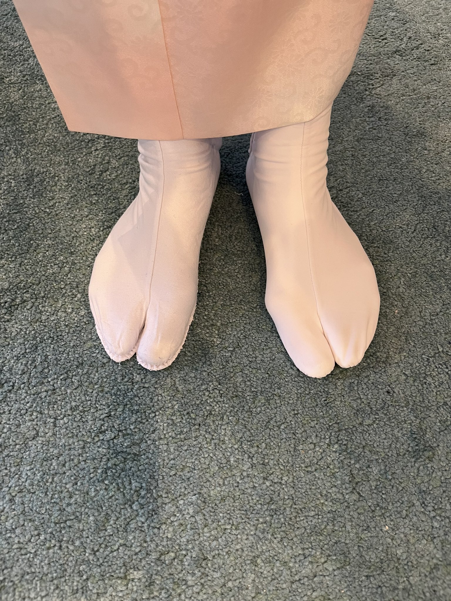 桂華　　　足（膝下）と尻尾のみ 桂 二葉 on X: 