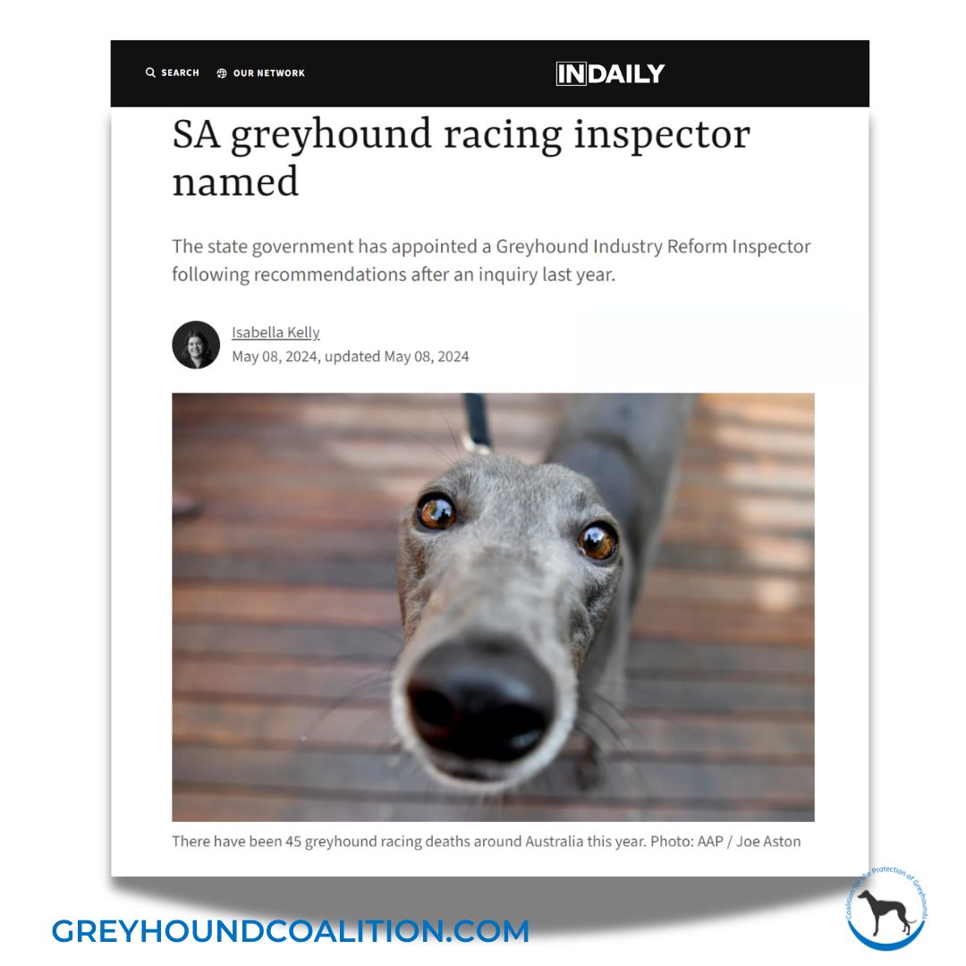 Sal Perna has been appointed as the SA Greyhound Industry Reform Inspector. He is committed to integrity which is mainly concerned with industry prosperity. CPG is calling for him to bring the same level of rigour to greyhound welfare as he does to the industry's 'success'.