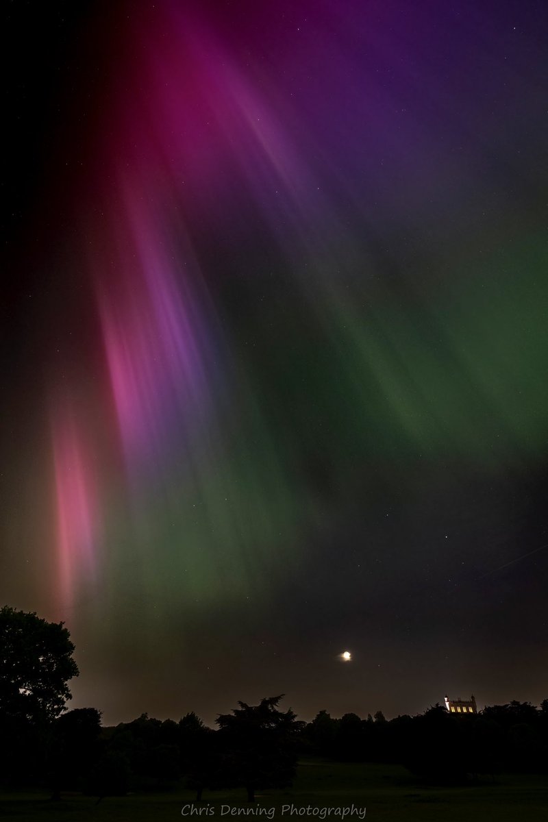 Chris Denning tweet media