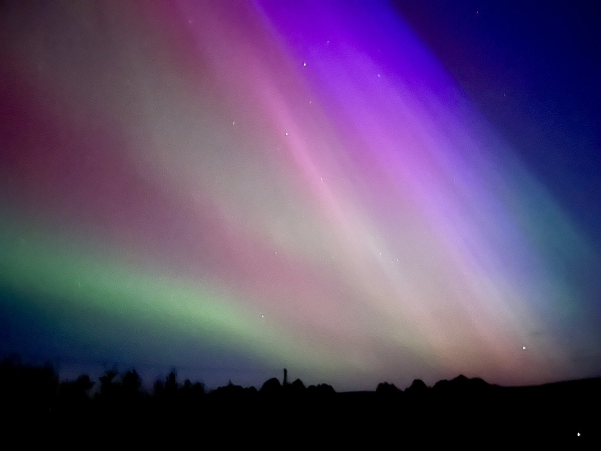 Brian Shannon tweet media