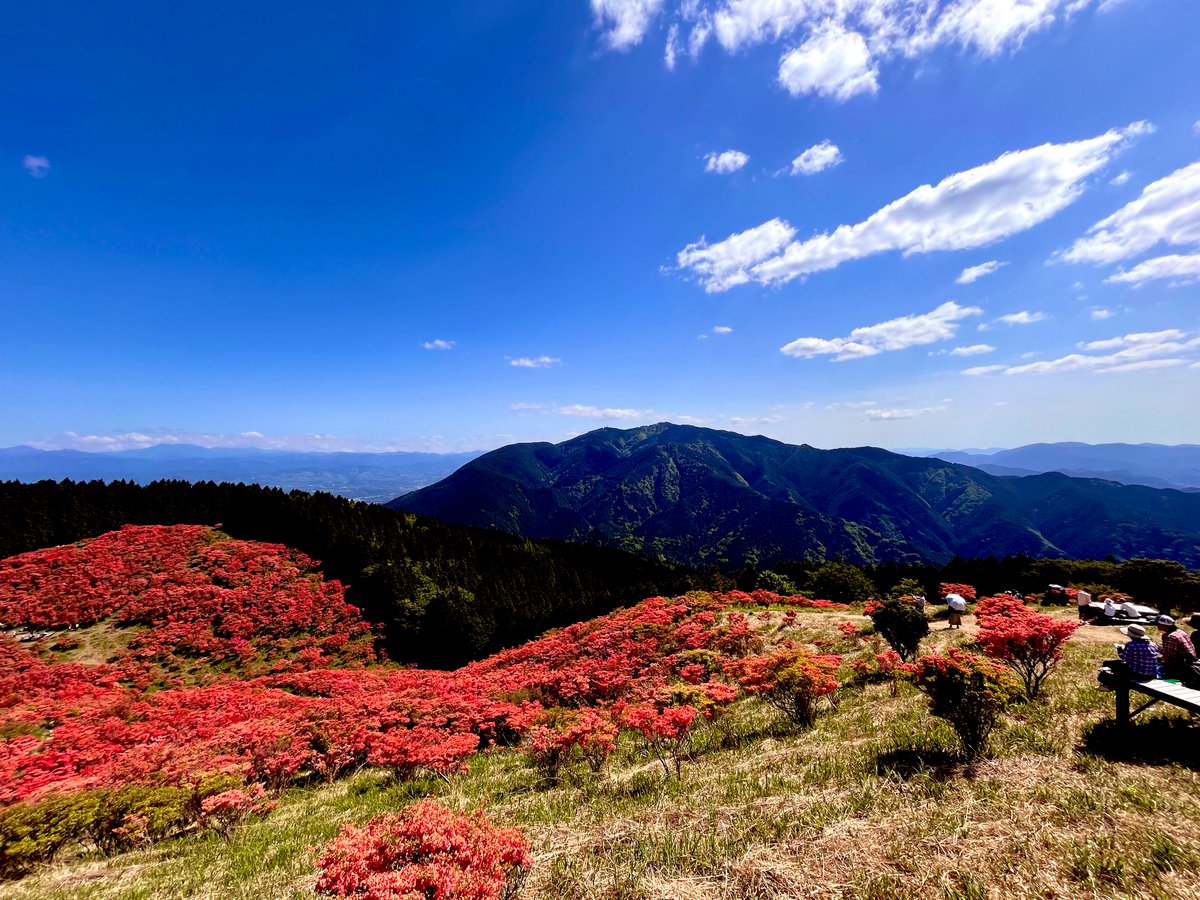 葛城山に来ています
一目千本のツツジ
とっても綺麗です😍✨
向かいの金剛山も綺麗😊

 #葛城山
 #つつじ
 
#SMC765
#シン765 #SIP765 #SMP765 #SJR765