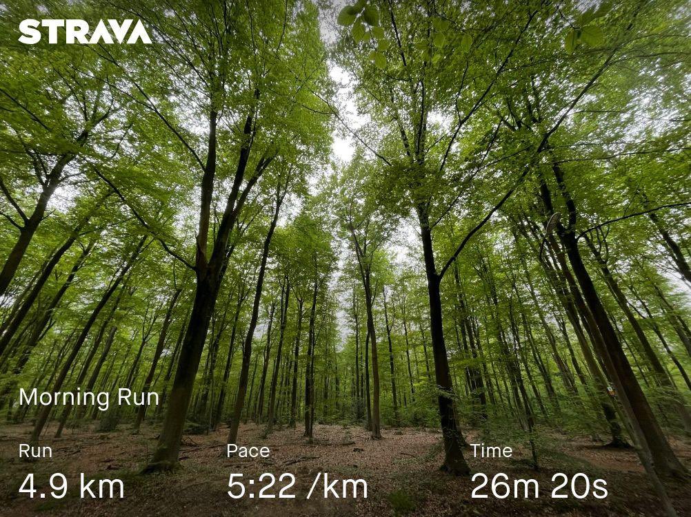 I find very good to keep constancy in the training even on holidays. Running in the woods is absolutely an amazing experience! #running #woods #forest strava.app.link/D5AnB0NivJb
