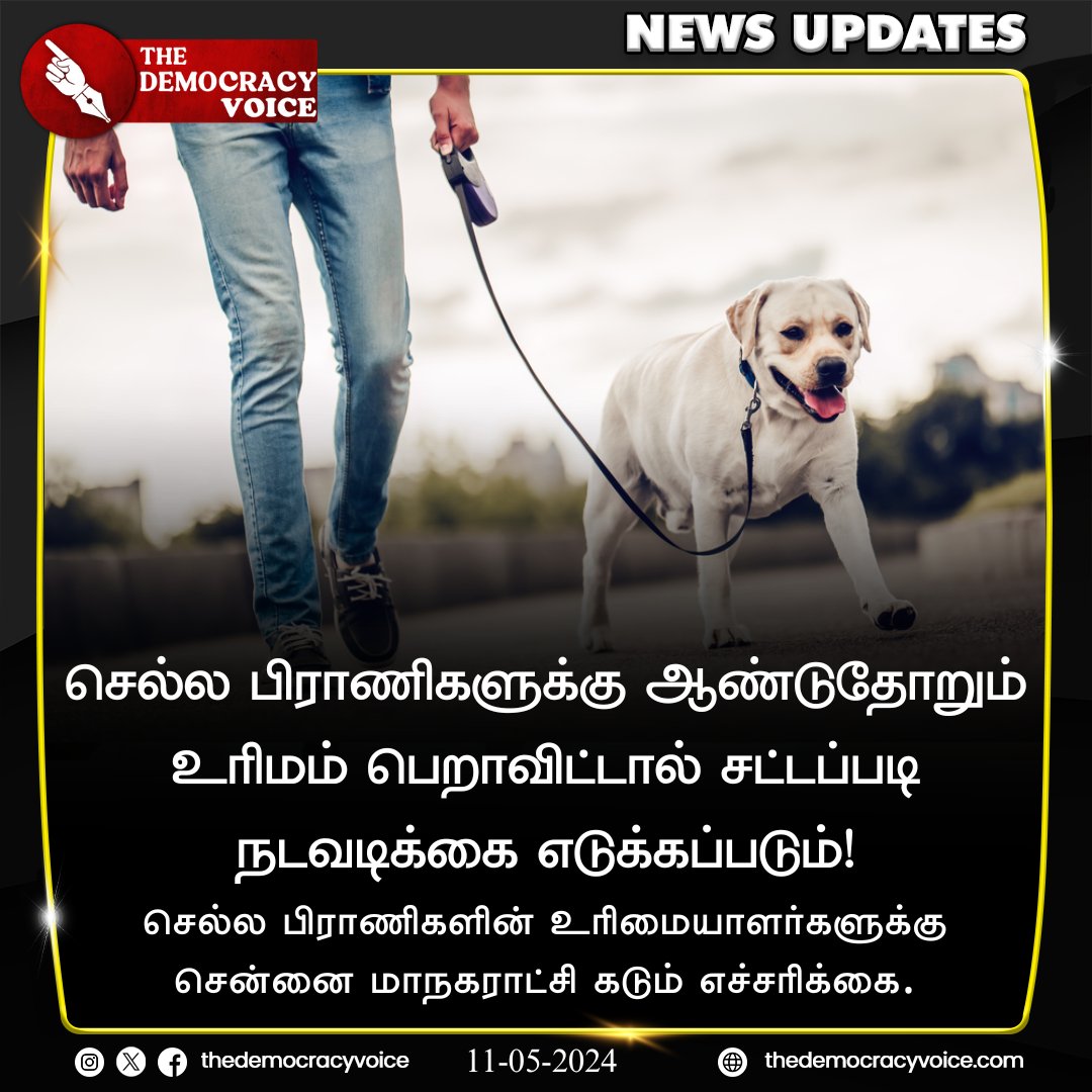 செல்ல பிராணி உரிமையாளர்களுக்கு சென்னை மாநகராட்சி கடும் எச்சரிக்கை!

#TDV | #GreaterChennaiCorporation | #chennai | #pets | #TamilNews