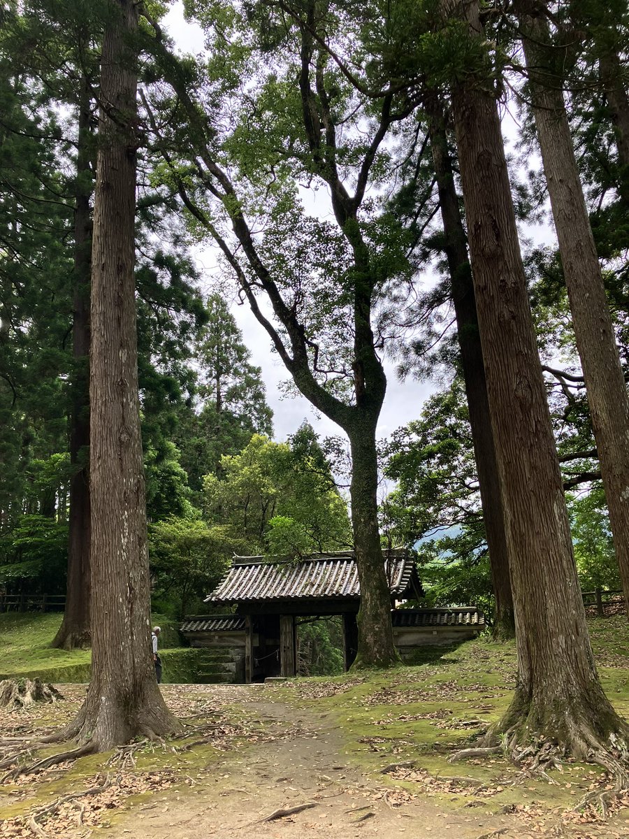 sikao1976's tweet photo. やってきました飫肥城。行きのフェリーで宮崎に里帰りするというじさまから、小村寿太郎の出身地だからと勧められてきてみた。なかなかいい雰囲気。 https://t.co/Mt296aVg8K
