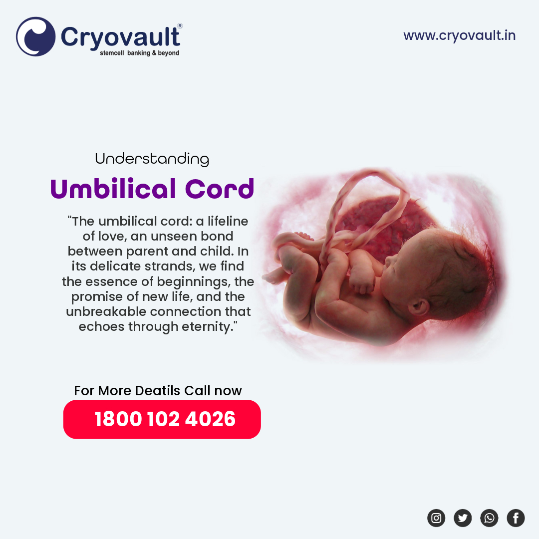 'The umbilical cord: a lifeline of love, an unseen bond between parent and child. In its delicate strands, we find the essence of beginnings, the promise of new life, and the unbreakable connection that echoes through eternity.' Visit:- cryovault.in #cryovault