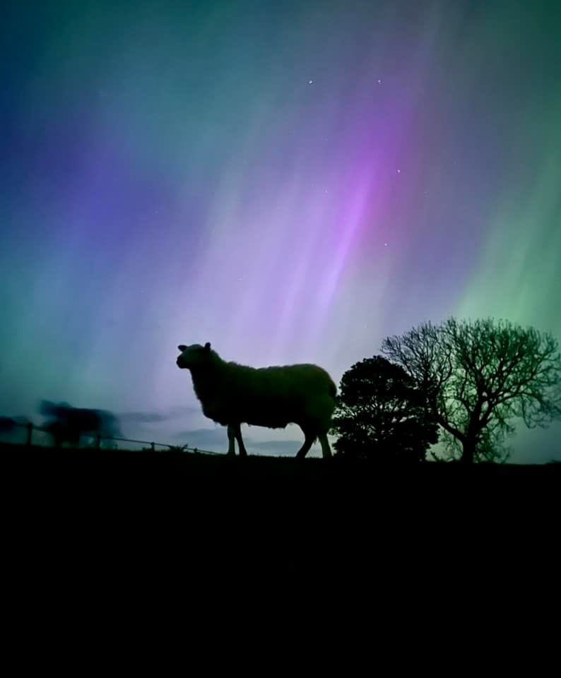 🤩 Farmers across the UK were treated to a beautiful Northern Lights show last night…