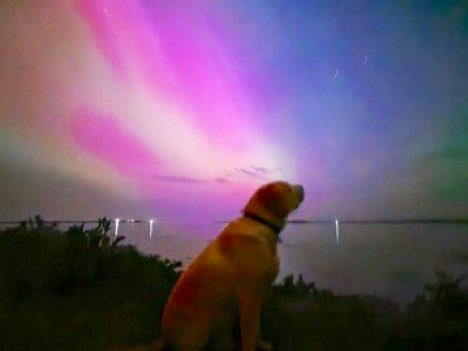 A ver fotos que hayan sacado de las Auroras Boreales 📸

No olviden decirnos en qué ciudad se encuentran 🤗