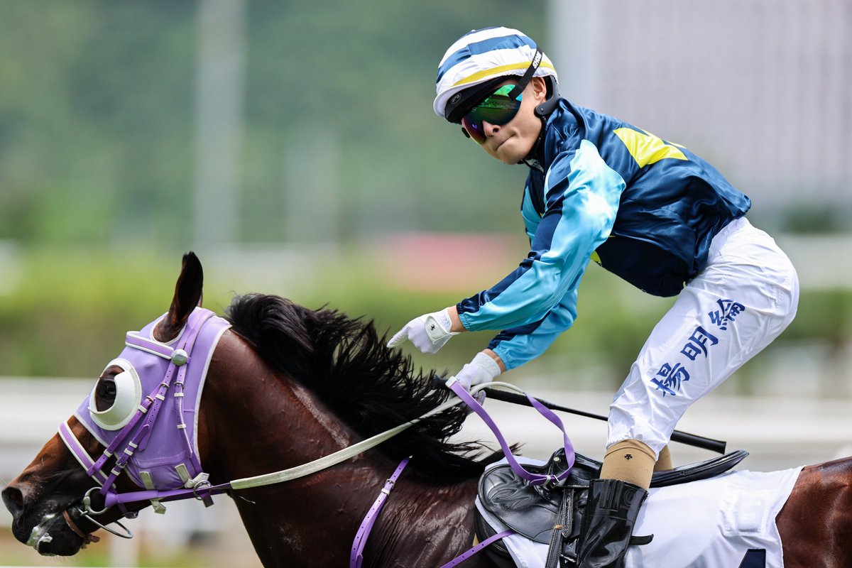 Keith Yeung and Master Of All! 😎 Dazzling in the first race at Sha Tin... #HKracing