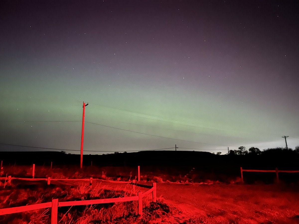 David Estrada tweet media