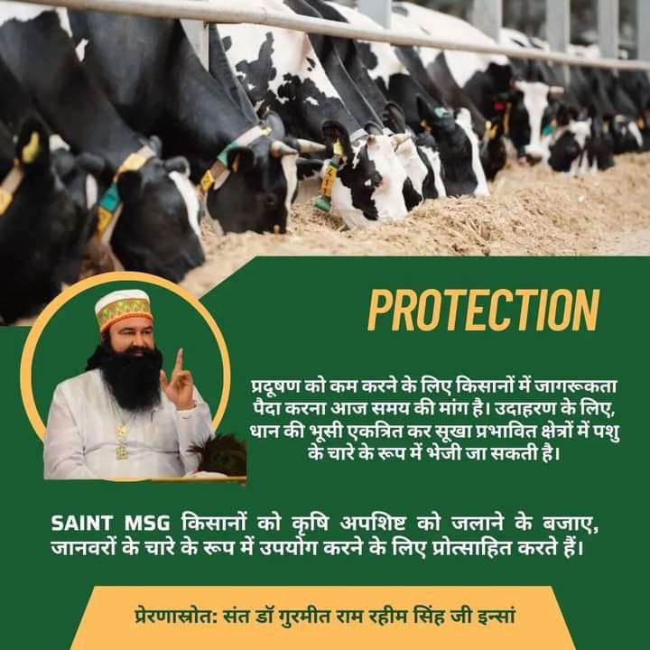 #PollutionFreeNation
वातावरण की संभाल के लिए हमे जागरूक होना चाहिए,Ram Rahim g फरमाते है कि किसानों को चाहिए वो अपने खेत में गेहूं/धान की खेती के बाद फसलों के पकने/काटने के उपरांत इसके बचे अवशेष यानी पराली/नाड़ को जलाने की बजाए इसको पशुओं के लिए उपयोग में लाए।
Protection Campaign