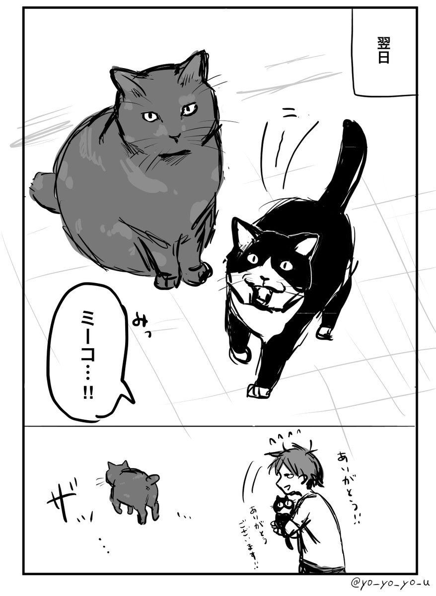 最近よくみる「飼い猫が脱走した時に近所のボス猫に相談したら連れて帰ってきてくれた」話が好きすぎて漫画描いた
ねこねこネットワークは存在する。 