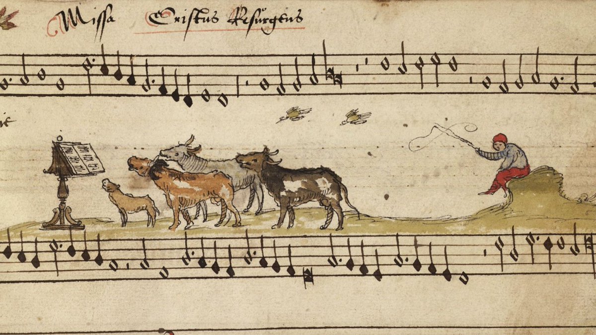 From a 1542 Bruges songbook ~ cows harmonise happily with the aid of sheet music (let’s call it moosic), as herder sits casually waving his whip and two birds dart by (Cambrai, Bibliotheque Municipale MS) initiale.irht.cnrs.fr/codex/9400