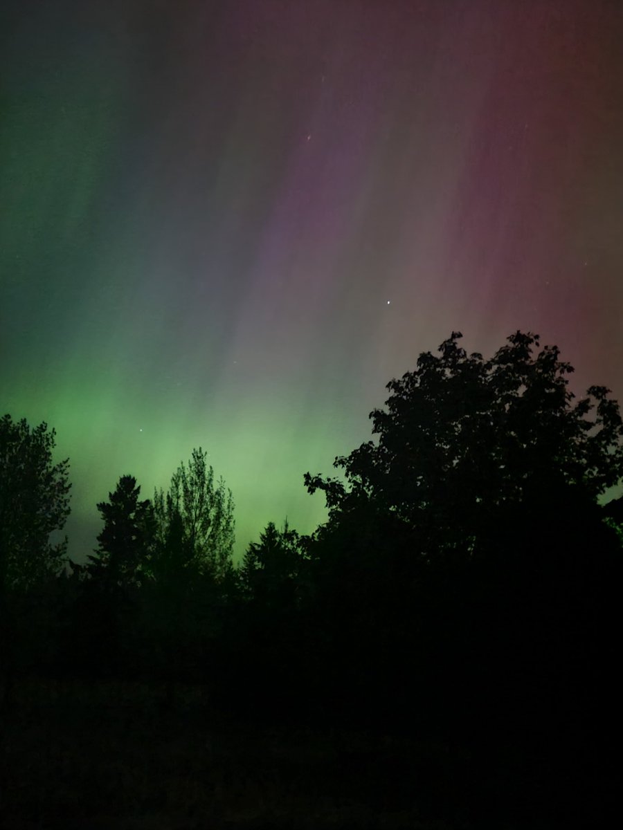 WA STATE #NorthernLights 23:00 PDT, Friday, May 10, 2024 Seeing them in Lewis County NOW.