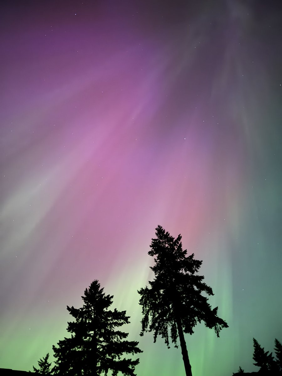I’m speechless. This is something else. The entire sky is dancing. Spectacular show.  #Aurora #waweather
