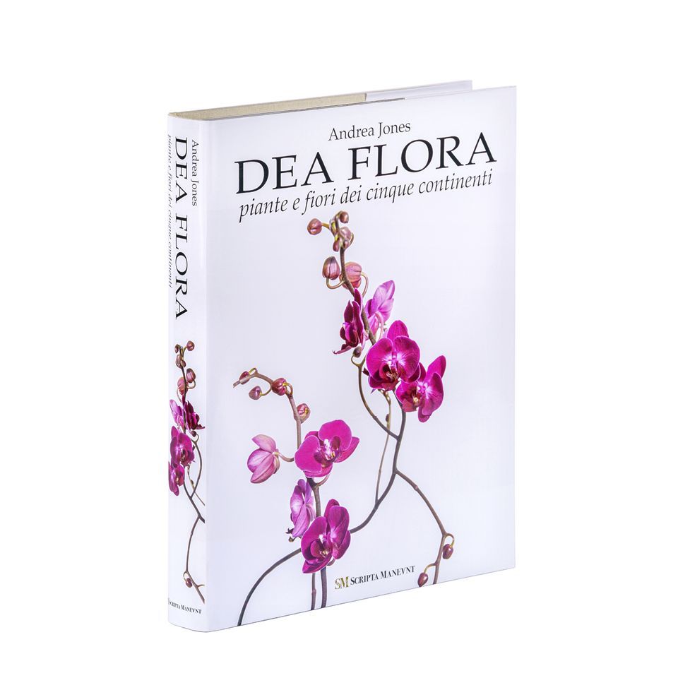 ⭐ Discover the exquisite and rare limited edition book DEA FLORA, PIANTE E FIORI DEI 5 CONTINENTI, published by Scripta Maneant. Delve into the beauty of flora and plants from all five continents with this valuable collector's item. 📙 

🇮🇹 🇬🇧  🔗 🧵 👇  + #NFT 🔐 

#RareBooks