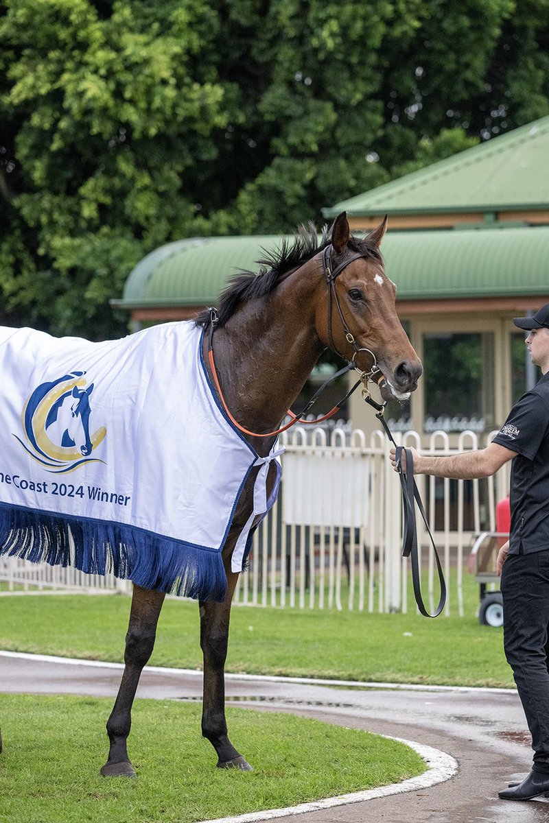 It’s an Inglis grads trifecta in the $500k The Coast @newcastleraces_ as MAGNASPIN (Magnus) beats Williamsburg and Iknowastar. Winner is a $60k #InglisPremier buy for @RacingBennett from @malukafarm