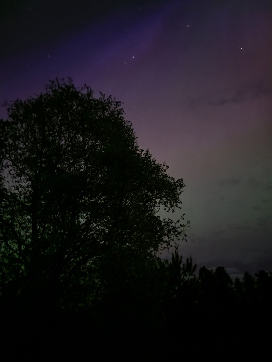 Aurora as seen from the forest of Galloway