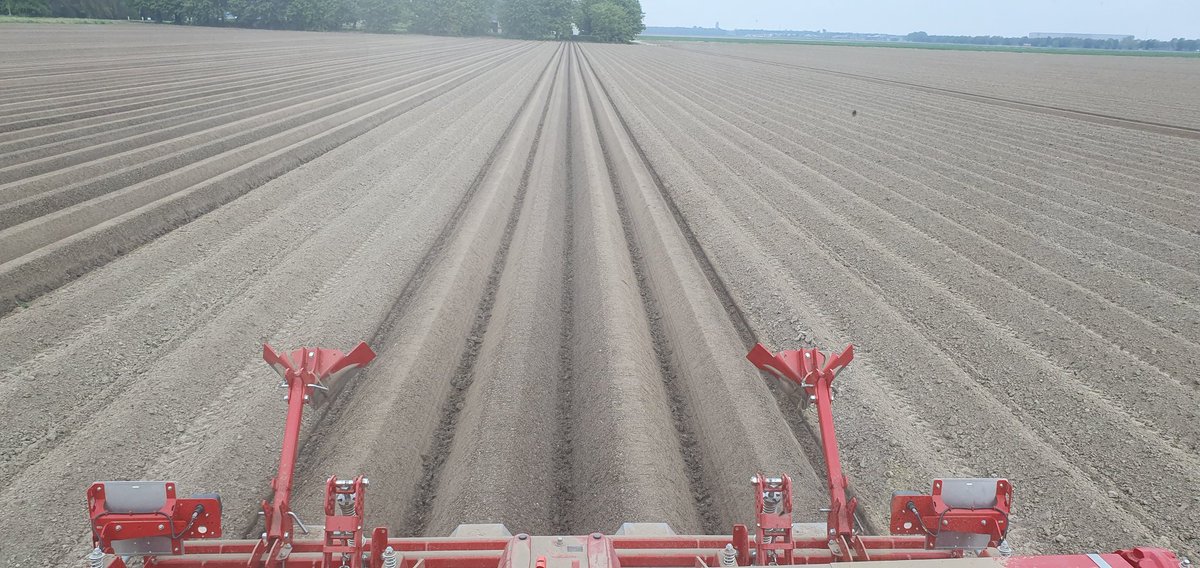 Olaf van Campen tweet media