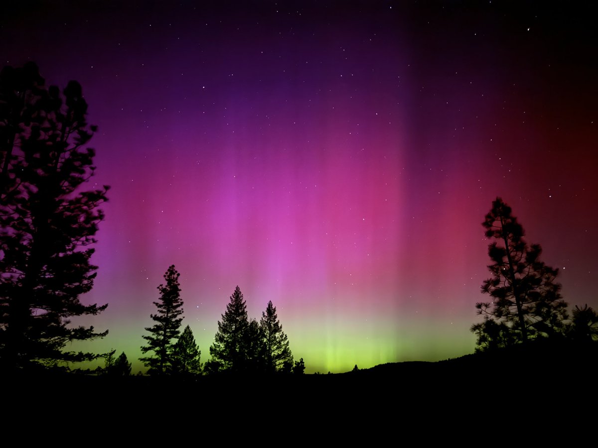 robwormald tweet media