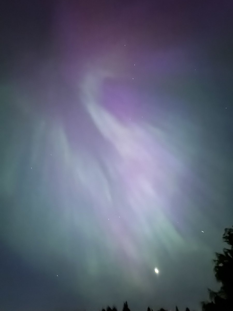 Jaymee Sire tweet media