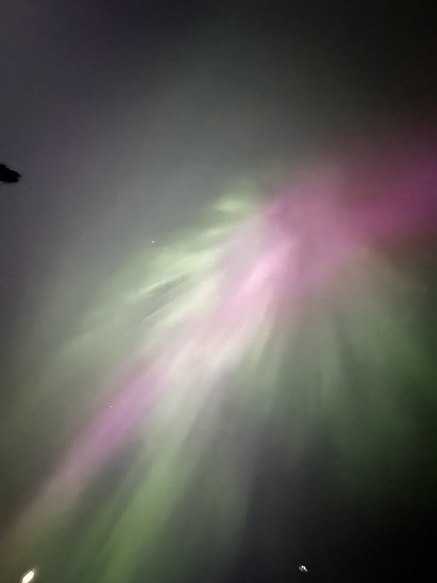 Jaymee Sire tweet media