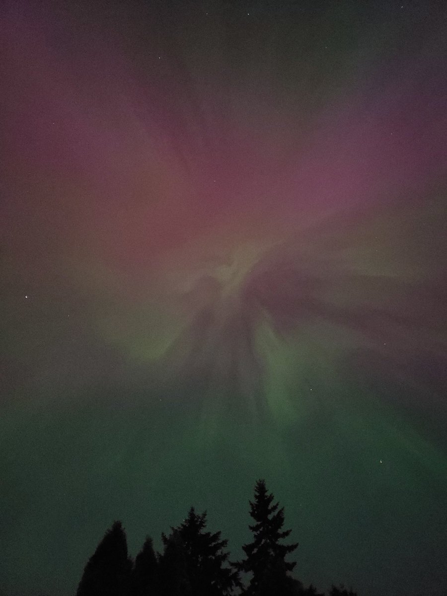 Northern lights above my house