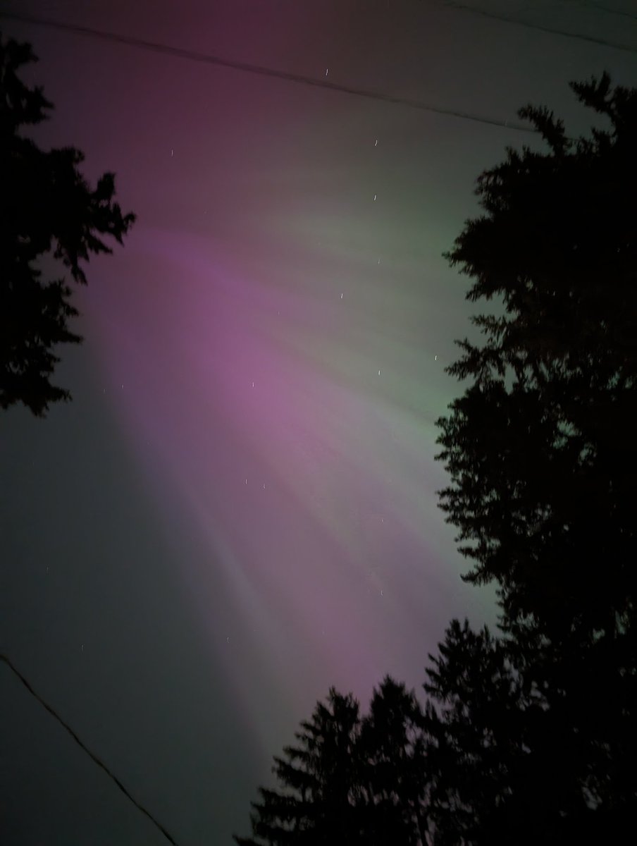 Veronica_Bane's tweet photo. The Northern Lights have arrived in Western Washington!!!! 🥹 But let list item achieved from my own front yard 🥹🥹 #pnw #pacificnorthwest #NorthernLights #Auroraborealis #westernwashington https://t.co/zEcpAM31wo