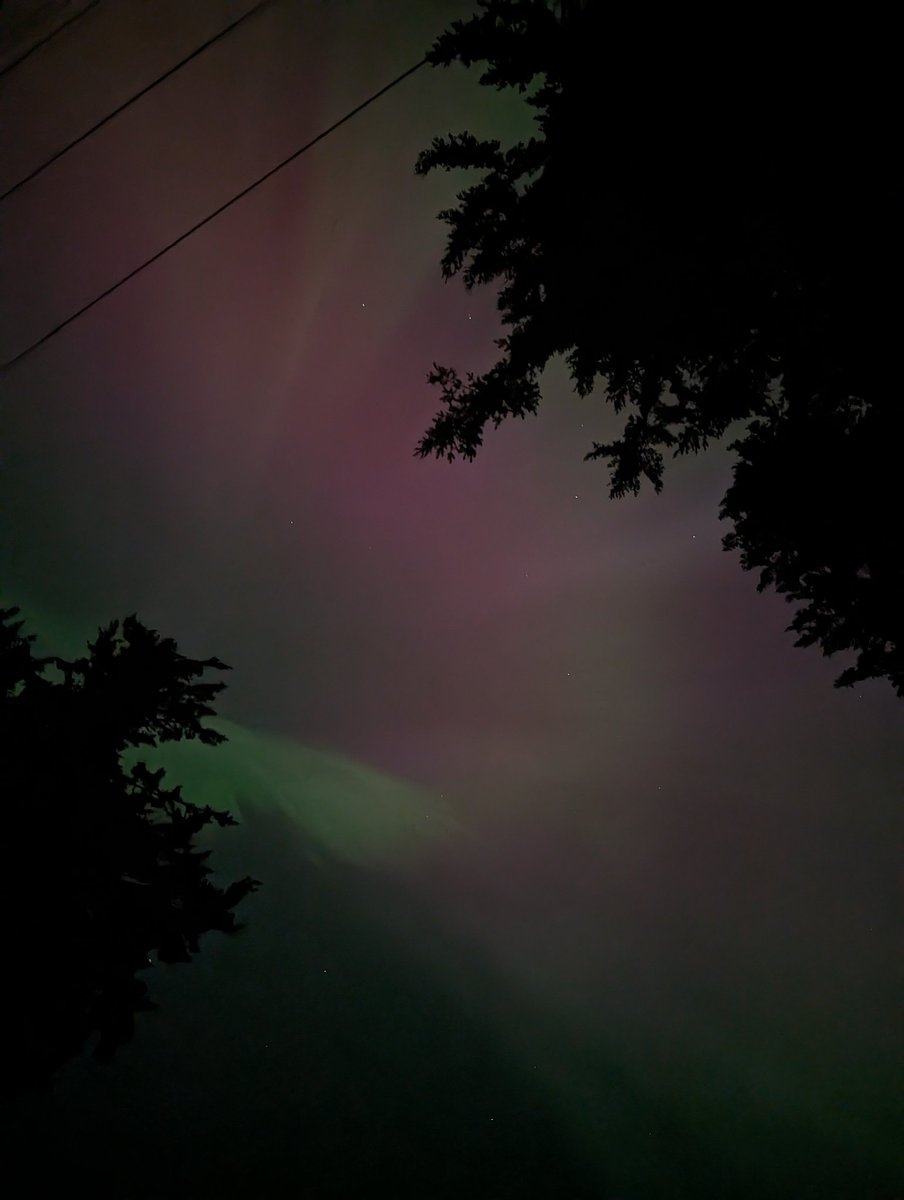 The Northern Lights have arrived in Western Washington!!!! 🥹 But let list item achieved from my own front yard 🥹🥹 #pnw #pacificnorthwest #NorthernLights #Auroraborealis #westernwashington