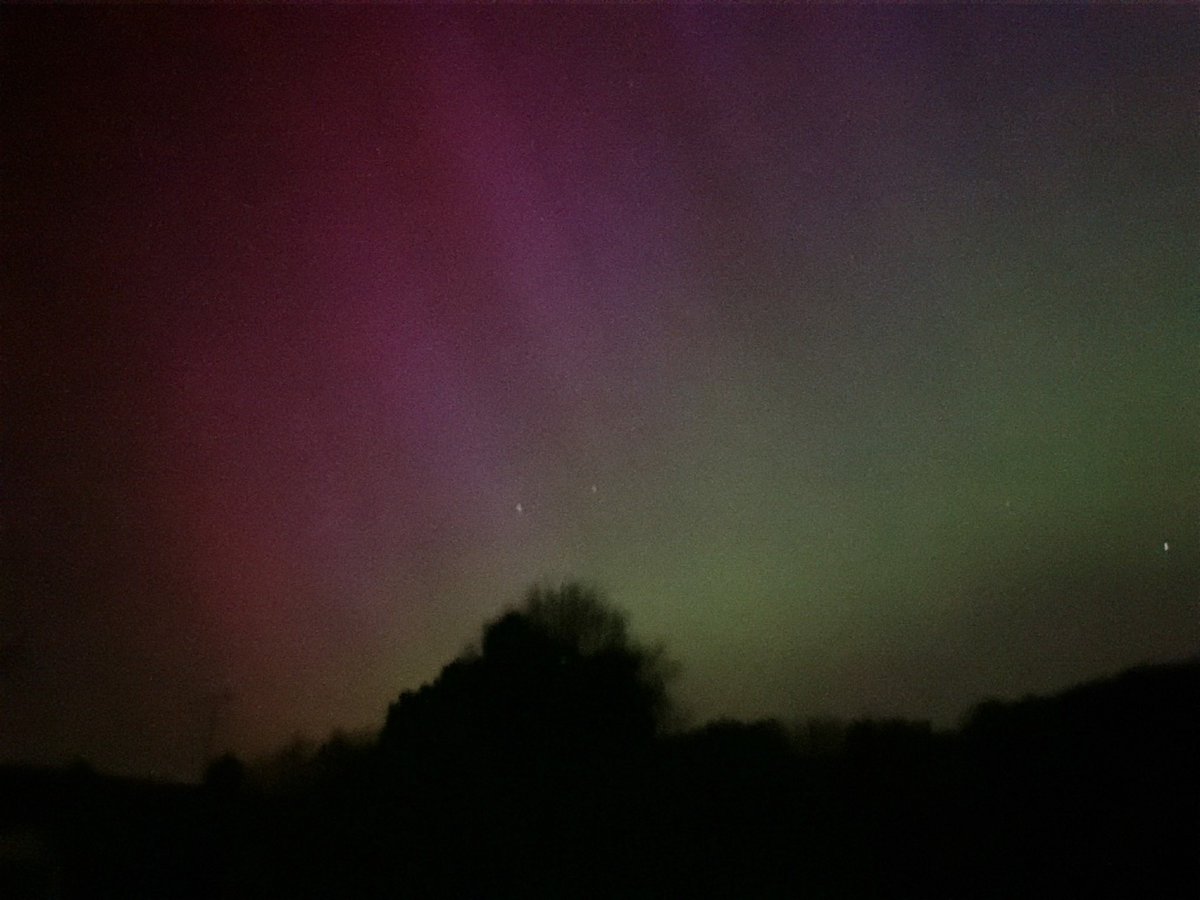 James Gale tweet media