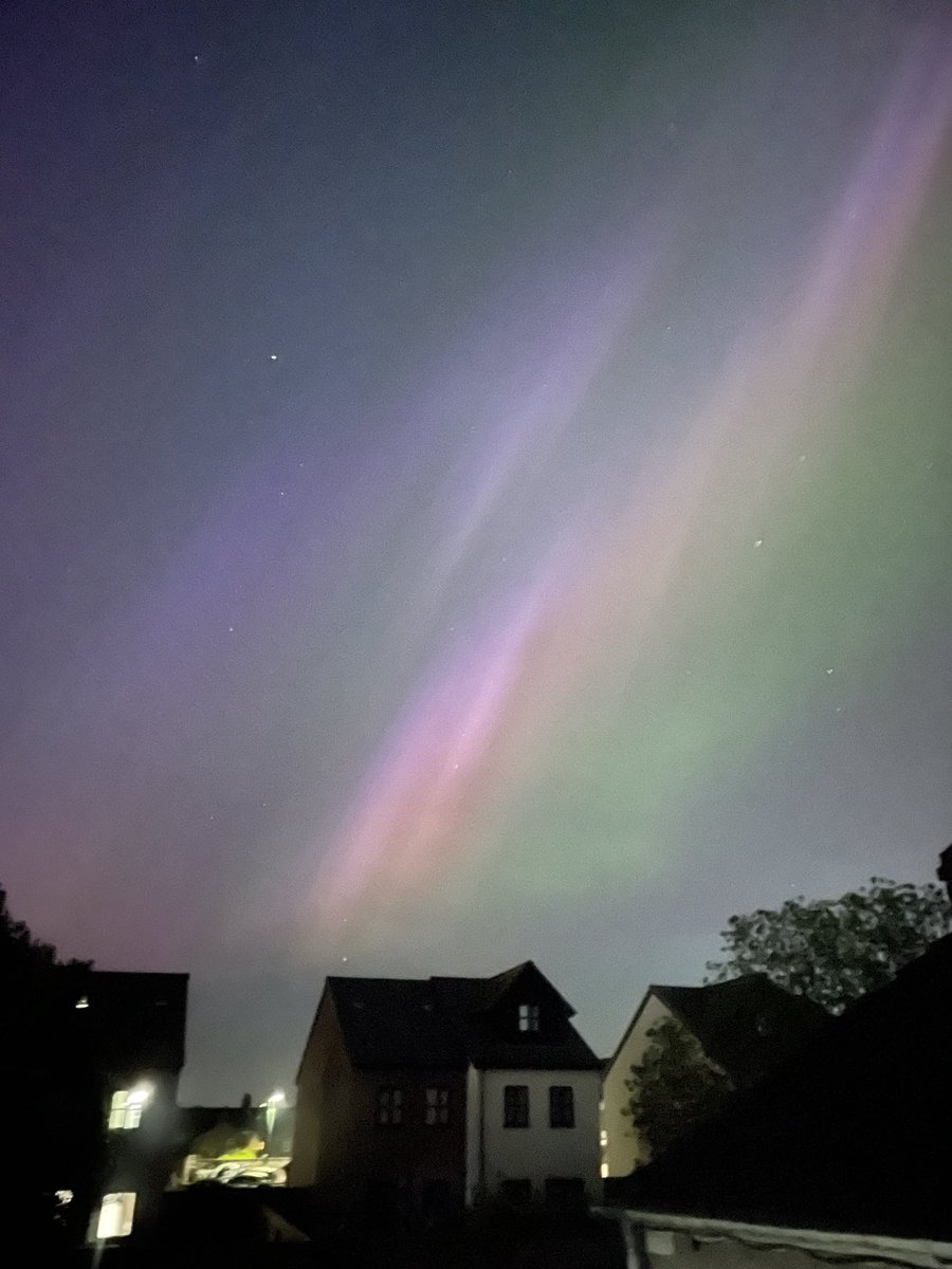 Tracy Pearce 🇺🇦🌻 🦜 tweet media