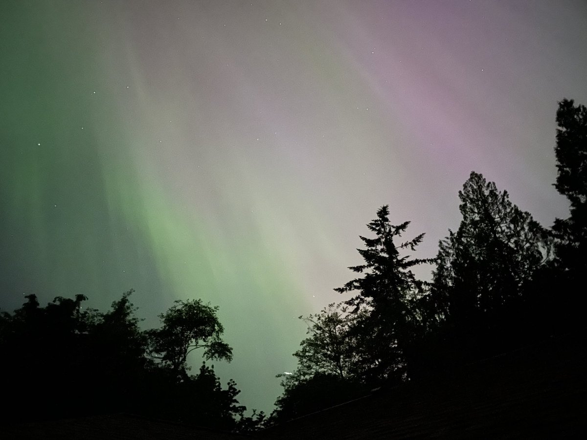 Isaac ✈ 🇺🇦 Alexander tweet media