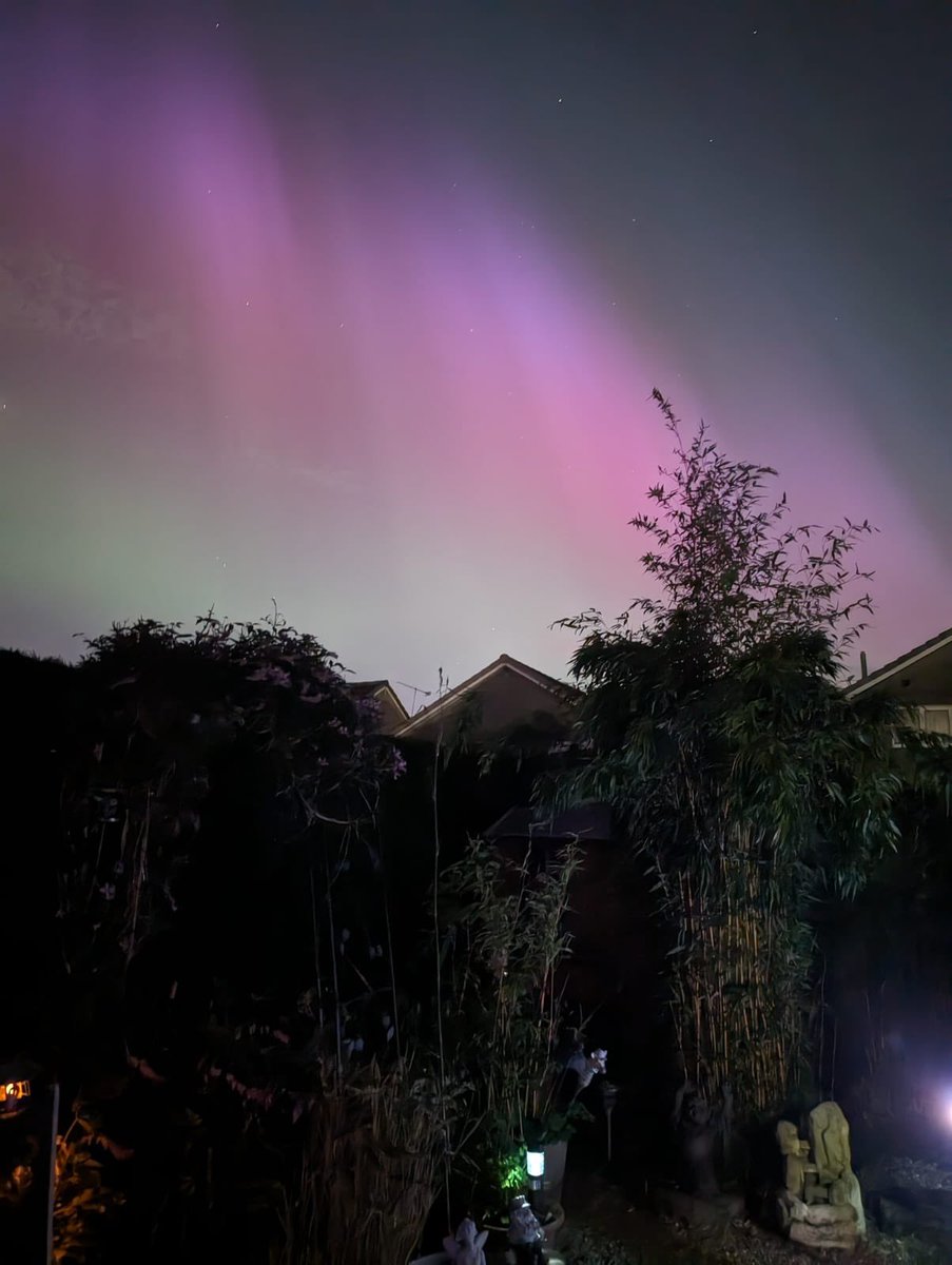 VintageCathy tweet media