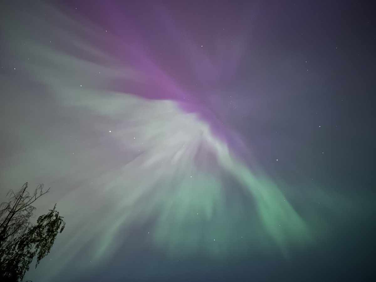 KING 5 News tweet media