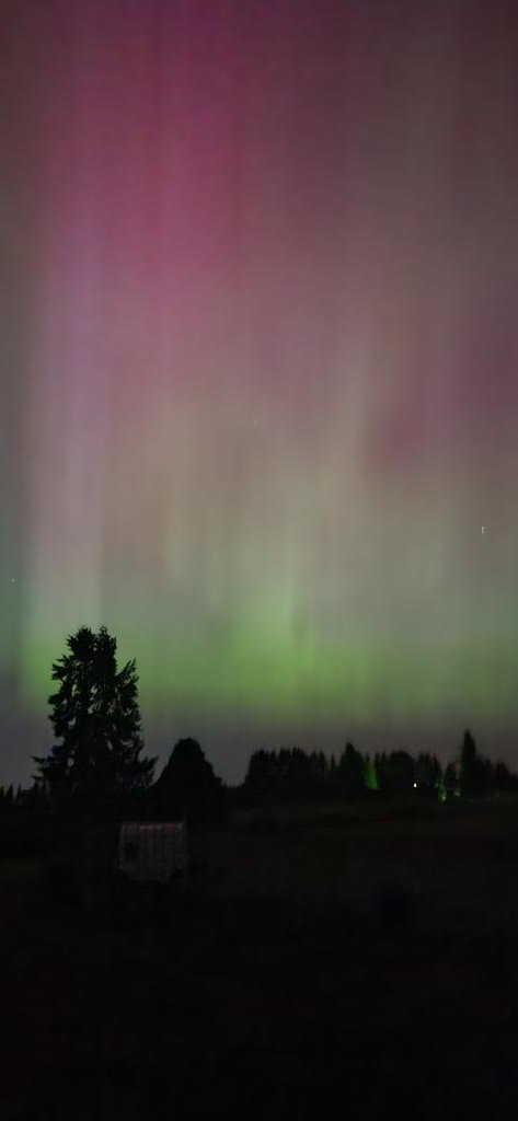 Clackamas County, Oregon 5/10/24
#Auroraborealis