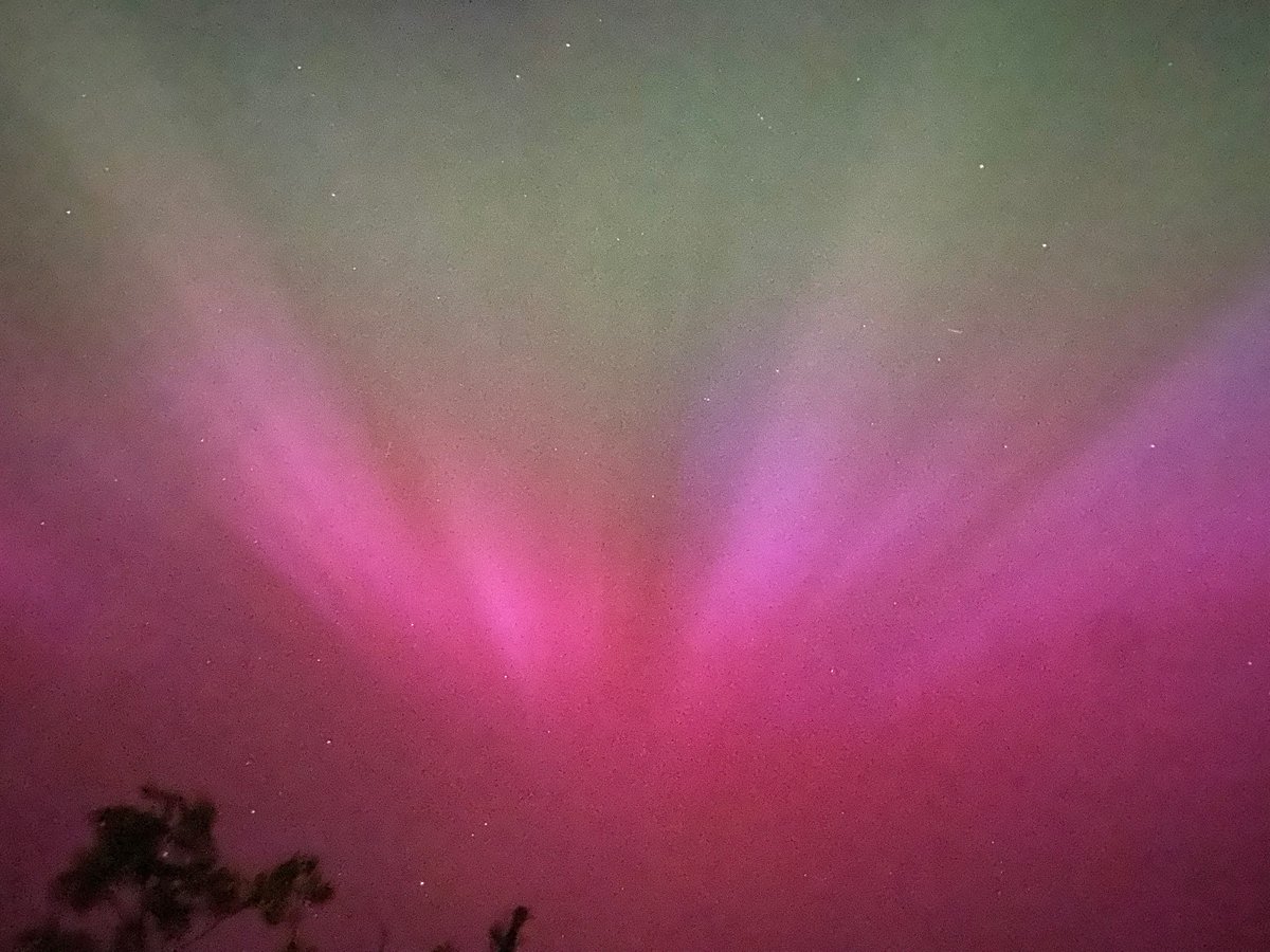 Walking-n-Wagging 🐾🐾 tweet media