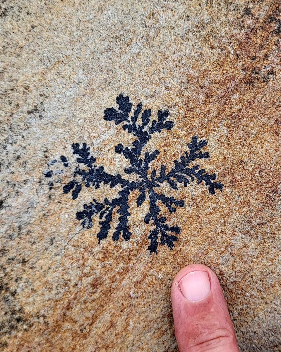 Lovely Dendritic patterns on sandstone paving outside a cafe in Killybegs. They are formed as minerals crystalize between layers of sedimentary rock. 
County Donegal, Ireland.