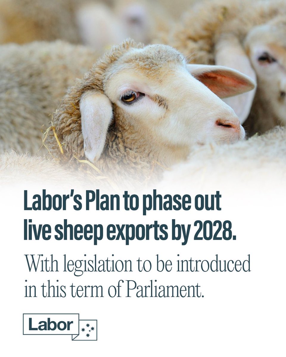 We’re ending live sheep exports, and locking in the decision with legislation. #auspol