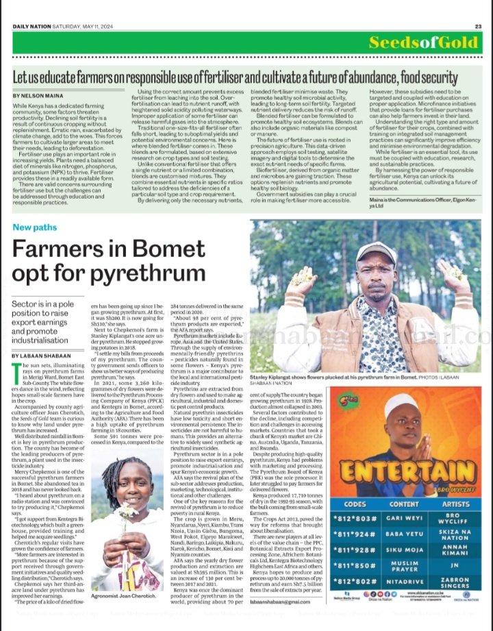 I toured Merigi, Bomet County recently and noticed there were many flowery farms and this got me curious. What are these? While talking to a few farmers, I realized they are ditching other crops to farm pyrethrum. Why so? I penned this feature for the @NationAfrica.