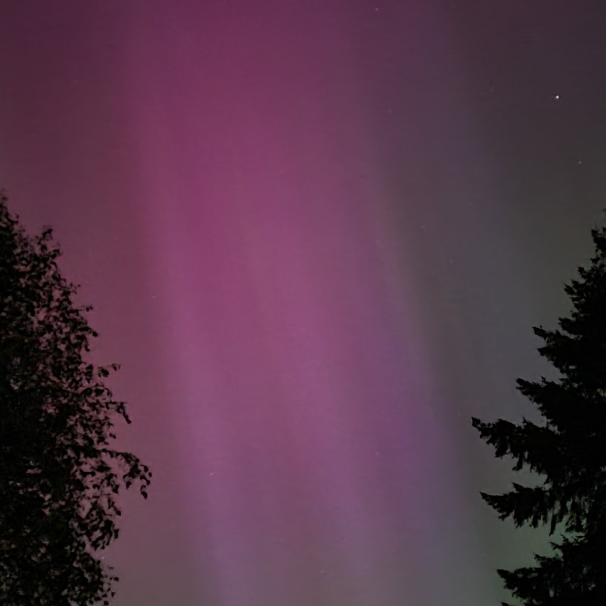 John Cassidy tweet media